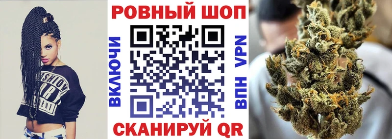 COCAIN Кашин