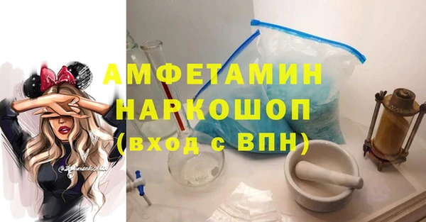 сатива Волоколамск