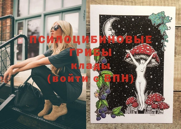 прущие крисы Верхний Тагил