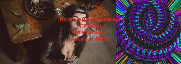сатива Волоколамск