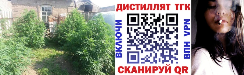 Дистиллят ТГК концентрат  наркотики  Кашин 