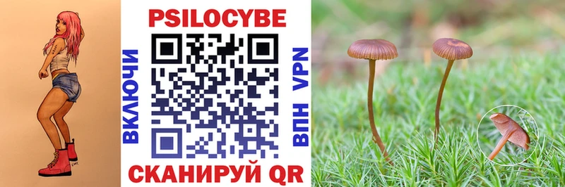Галлюциногенные грибы Psilocybine cubensis  как найти   Кашин 